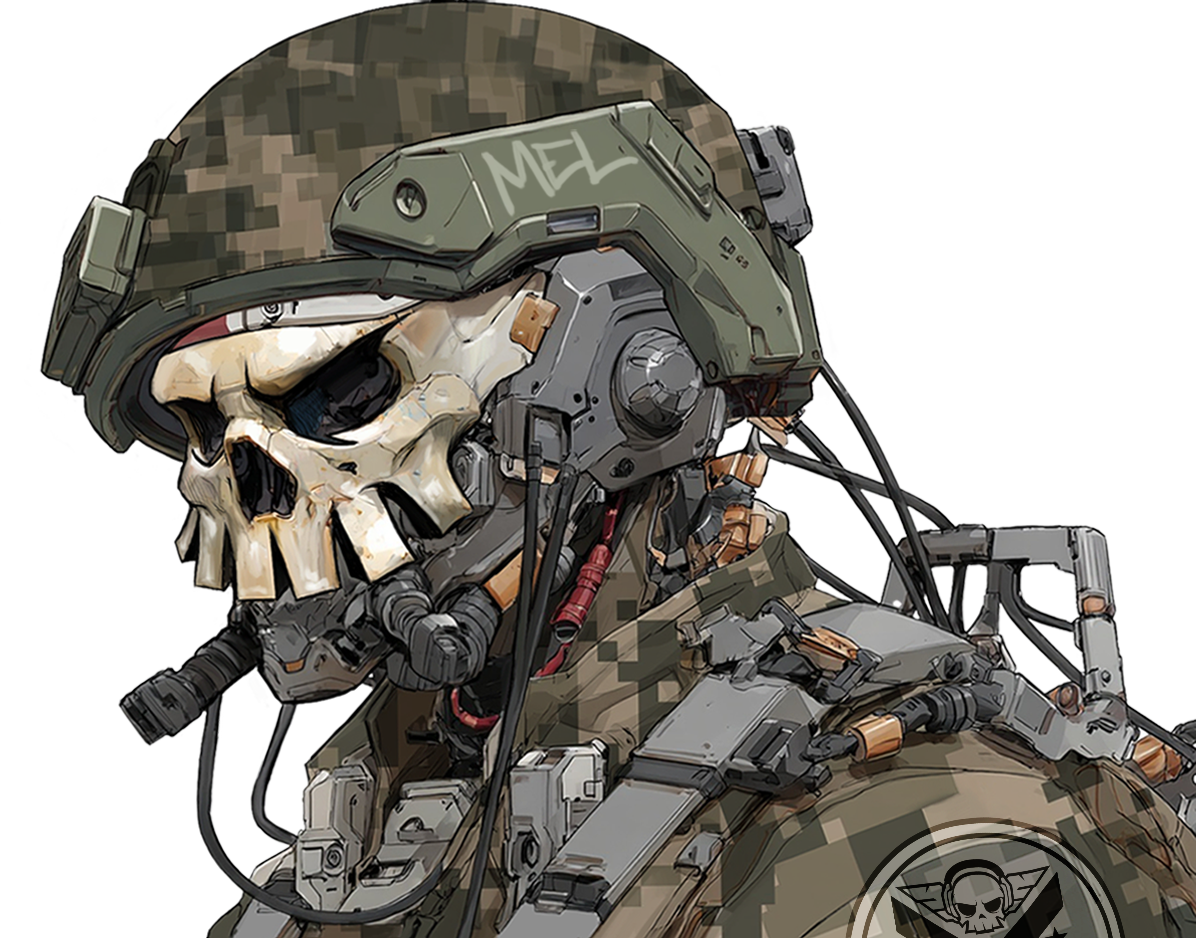Armored MEL pilot with skull helmet